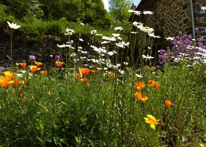 Couette-café Art Et Création